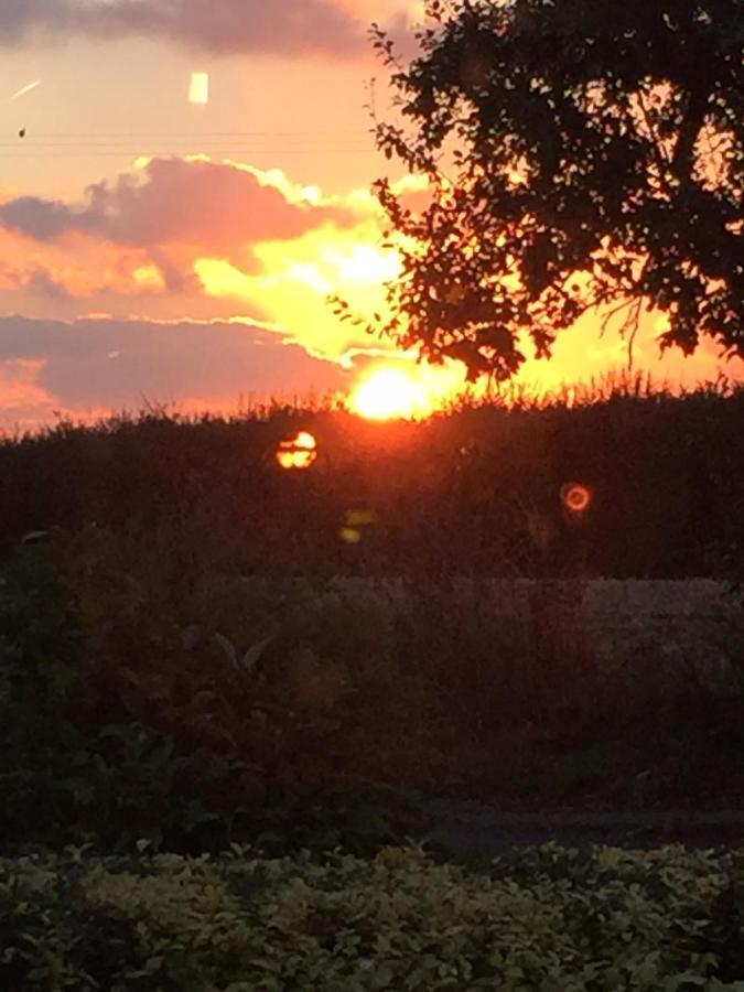 Corner House Luxury Bnb Little Dunmow Esterno foto